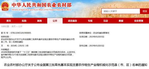 辛集新闻头条爆料群,揭秘本地热点事件背后的真相