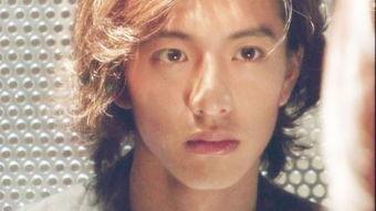 木村都那在线观看,在线重温经典，探寻日本偶像的璀璨星途