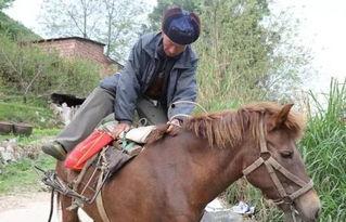 网红骑马爆料视频播放大全,精彩瞬间一网打尽